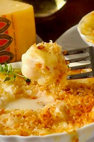 Scallops au Gratin with Jarlsberg Cheese close up photo for Google featured image.