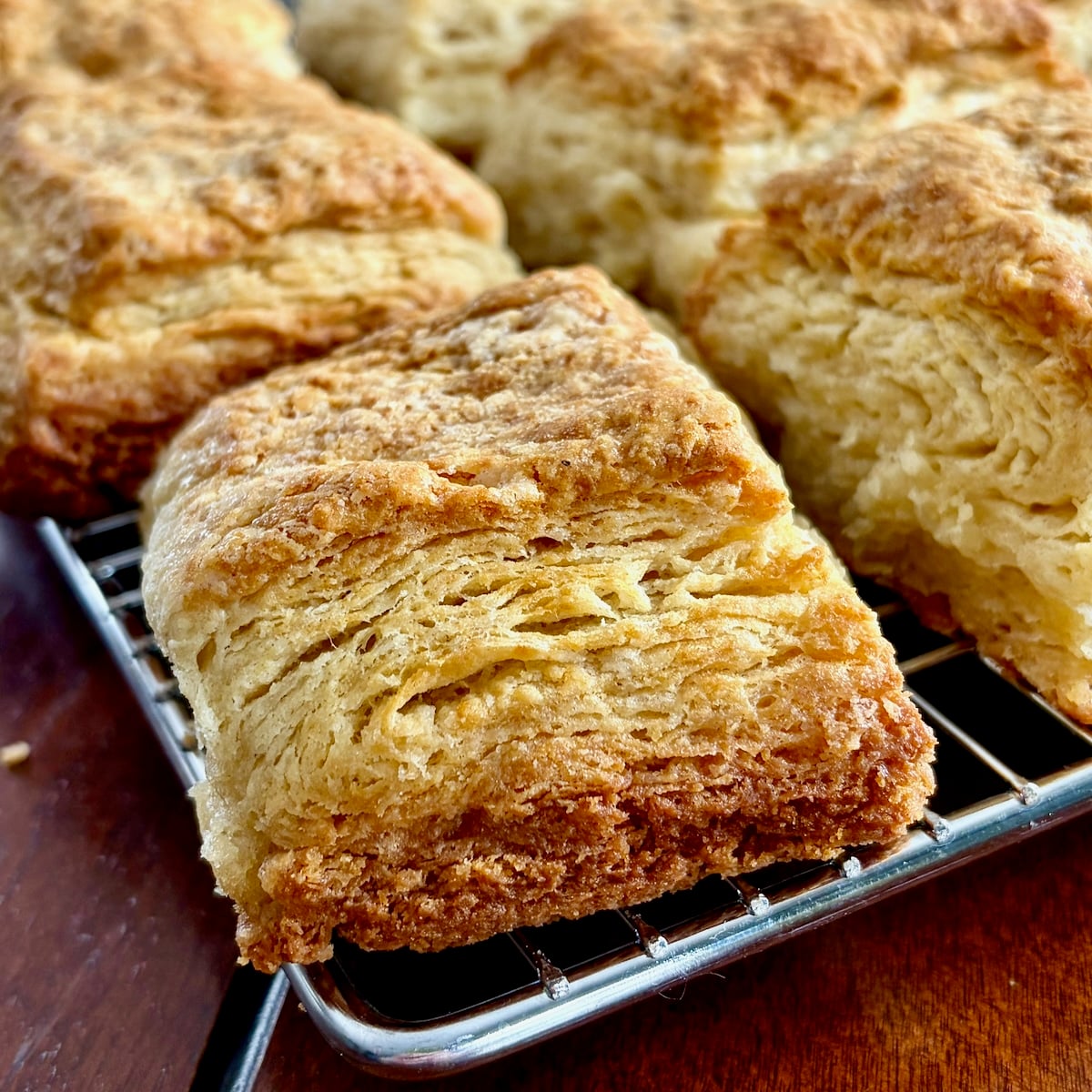 Close up photo of Flaky Sour Cream Biscuits cooling in a wire rack.